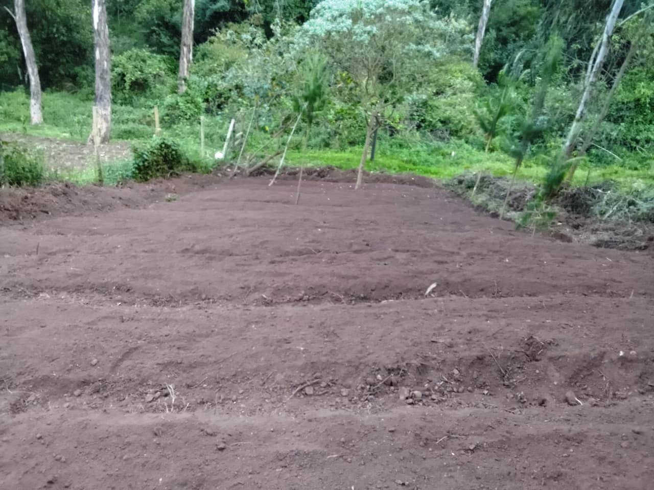 oleburru conservation2